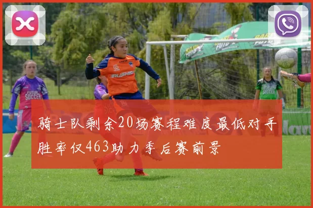 骑士队剩余20场赛程难度最低对手胜率仅463助力季后赛前景